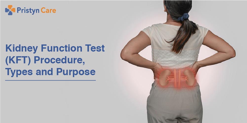 Kidney Function Test KFT Procedure Types And Purpose
