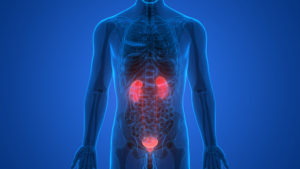 urinary disease in body