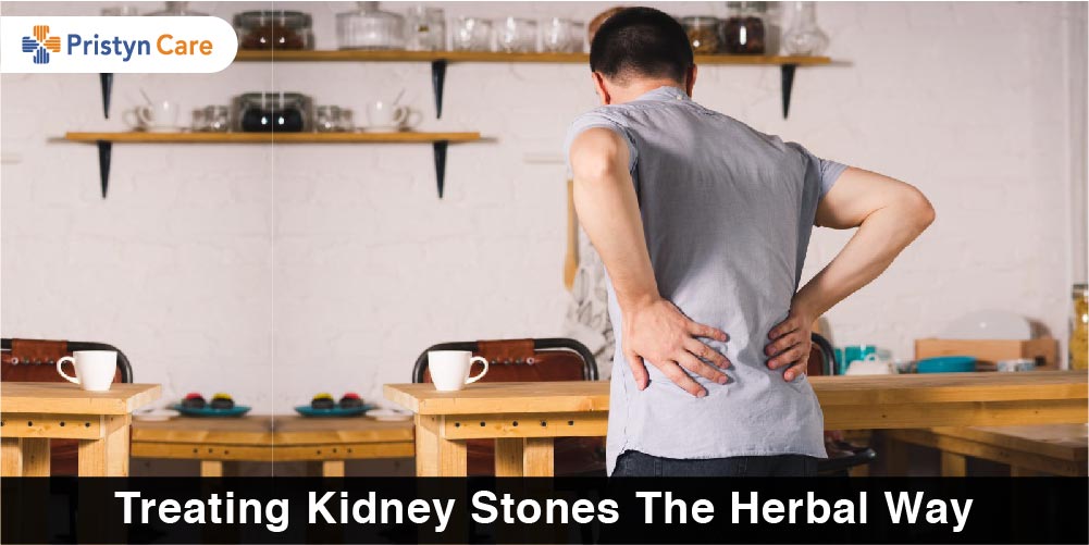 Treating Kidney Stones in Herbal Way
