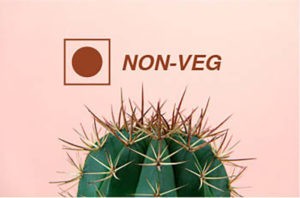 Is it right to eat Non-Veg in Piles?