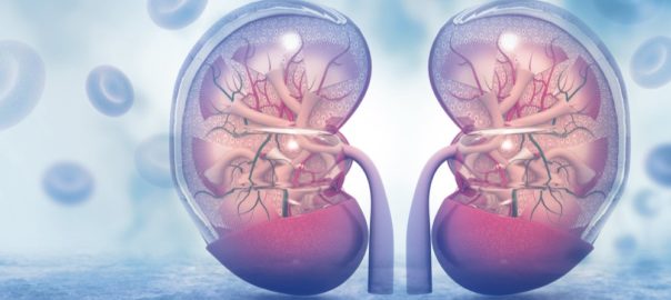 How To Treat Kidney Stone During Pregnancy?
