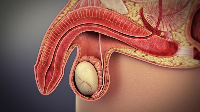 erectile dysfunction medicine