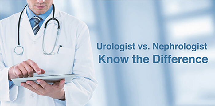 urologist vs nephrologist difference