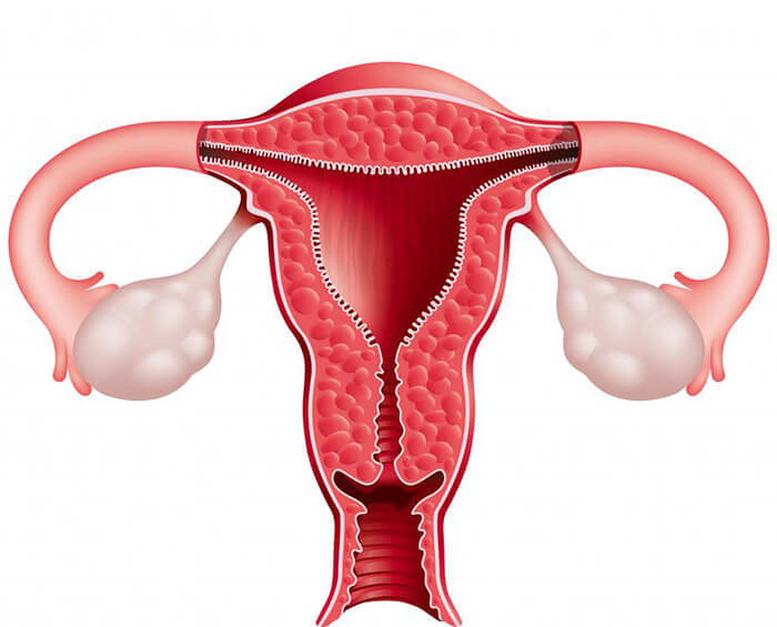 What all you need to know about hysterectomy