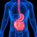 Why Should One Go For A Small Intestine Surgery