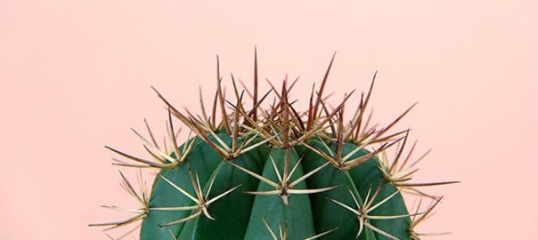 16 Scientifically Proven Piles Home Remedies That Work