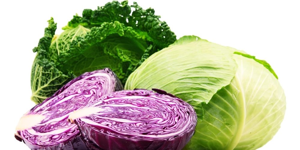 Cabbage