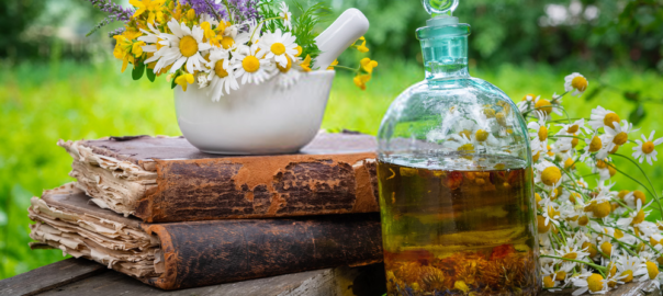 8 Most Effective Home Remedies for Nose Bleeding