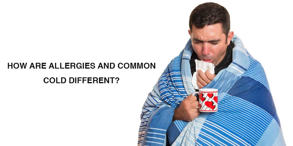 Cover image for difference between allergies and common cold