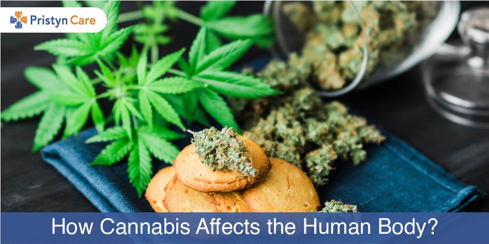 Cannabis affects human body