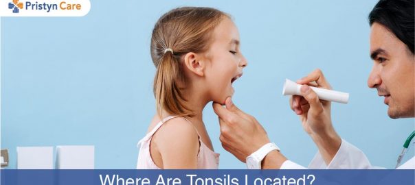 Where are Tonsils Located?