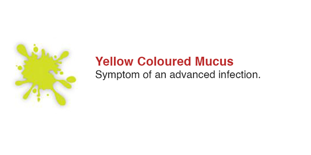 Yellow Coloured Mucus