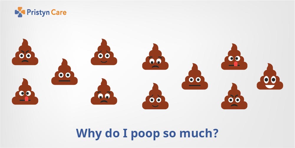 Why do I poop so much?