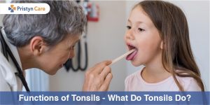 Cover image for functions of tonsils
