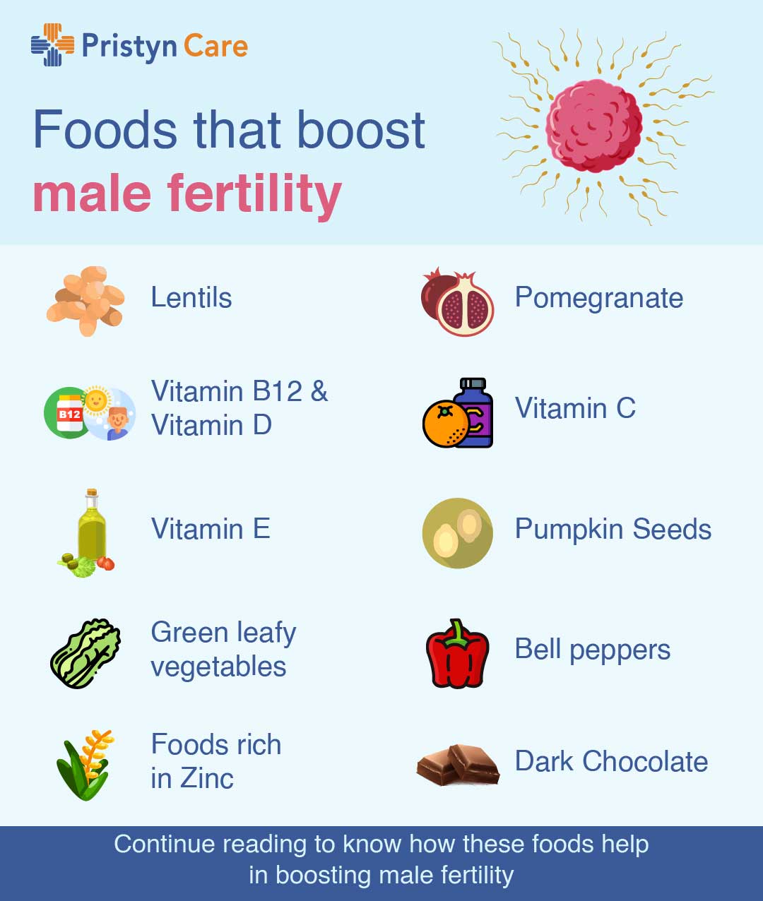 Top 10 Foods To Increase Male Fertility Pristyn Care