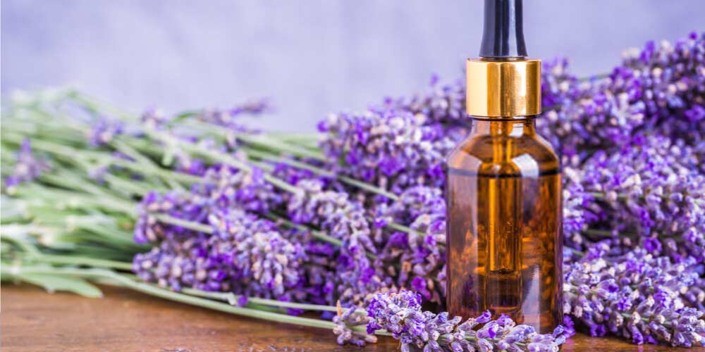 Lavender oil-Essential-Oils-To-Treat-Ear-Pain