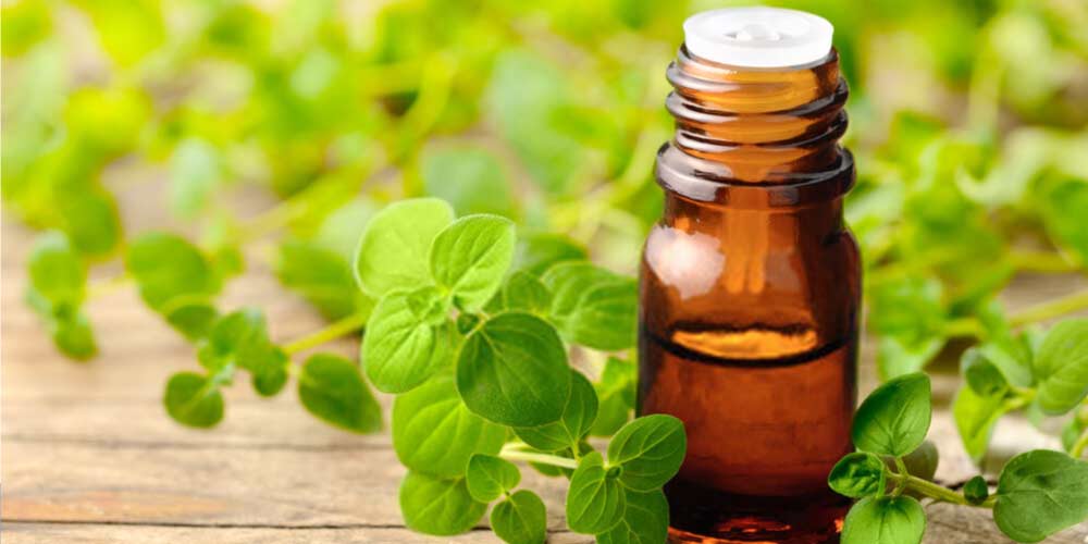 Oregano oil-Essential-Oils-To-Treat-Ear-Pain