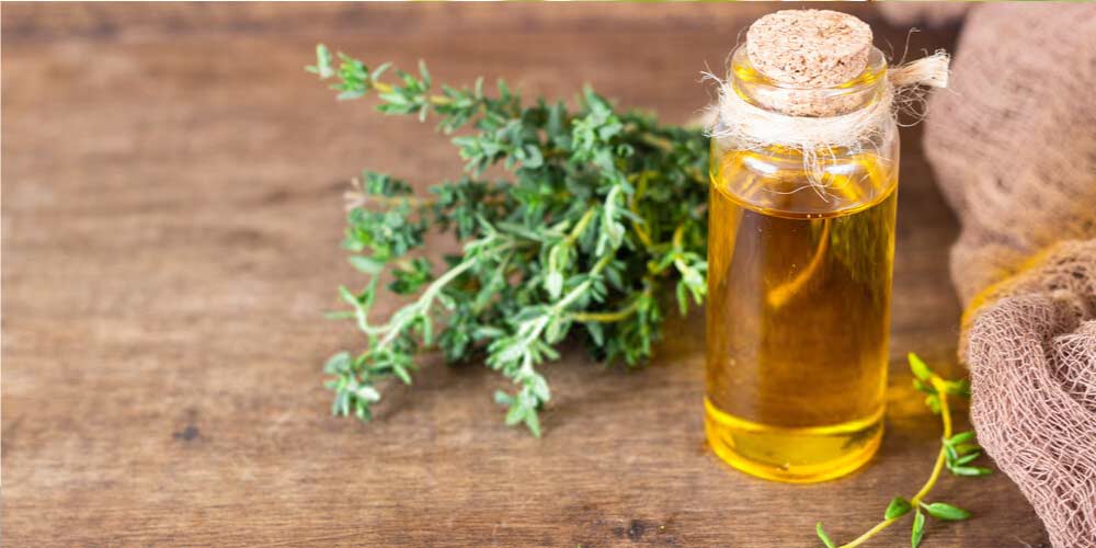 Thyme oil-Essential-Oils-To-Treat-Ear