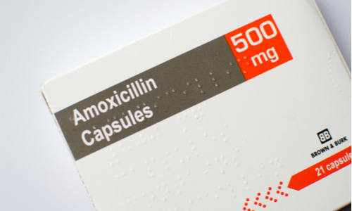 amoxicillin