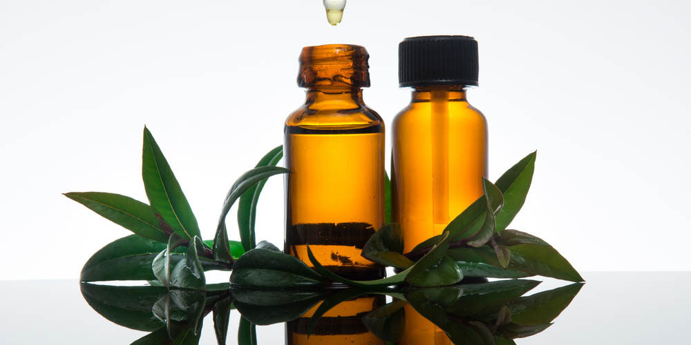 herbal oil for phimosis