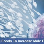 top 10 foods for erectile dysfunction