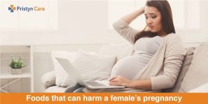 Foods that can harm a female’s pregnancy 