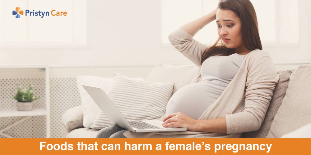 Foods that can harm a female’s pregnancy