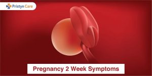 Pregnancy 2 Week Symptoms- What will I notice? 