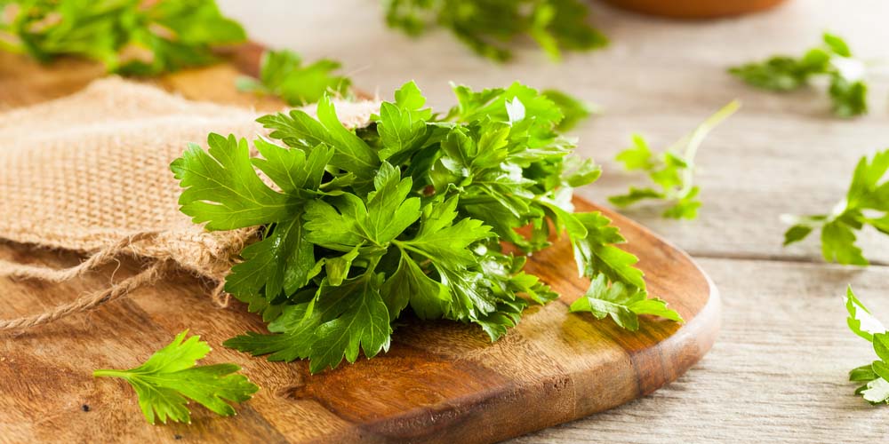 Parsley-avoid pregnancy after sex naturally 