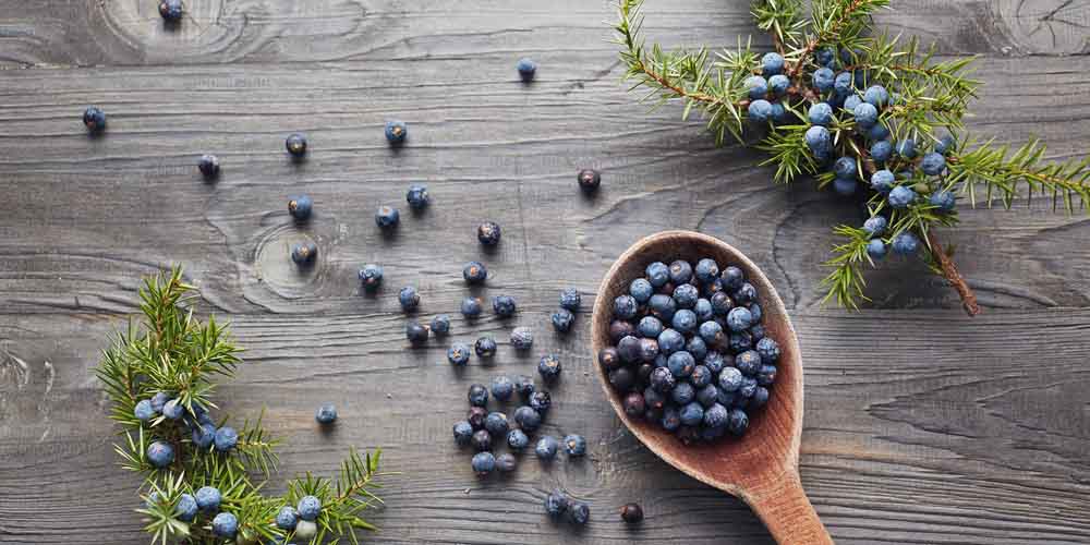 Juniper berries-Kala Jamun helps to avoid pregnancy after sex naturally 