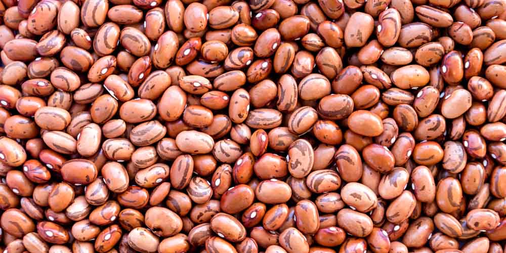 Beans for antiaging