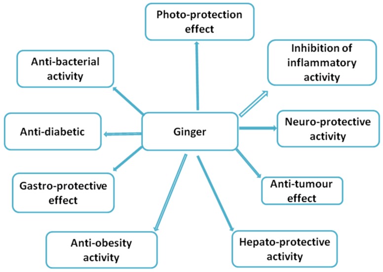 Benefits of ginger root