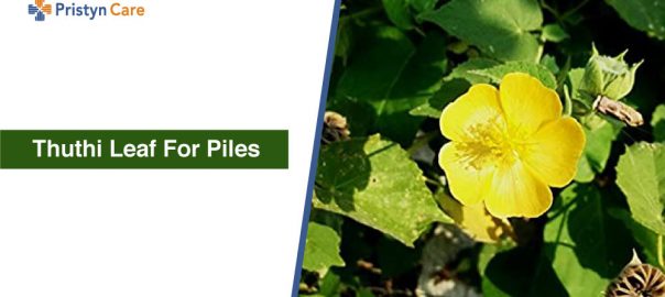 Thuthi Leaf for Piles