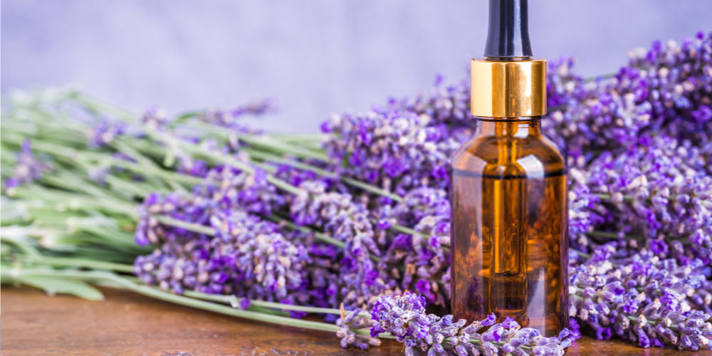 Lavender oil for hair