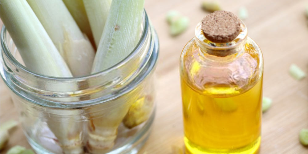 Lemongrass oil for hair