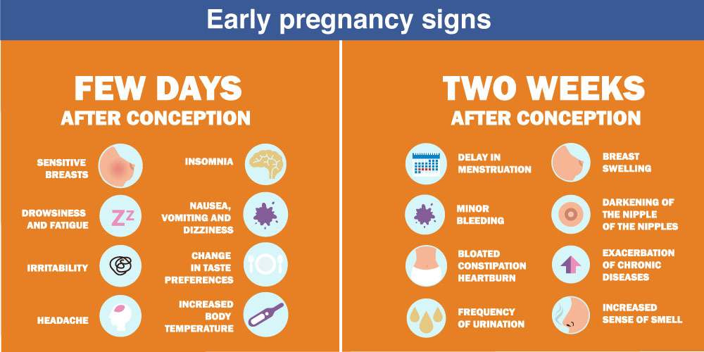 early pregnancy signs before missing periods 