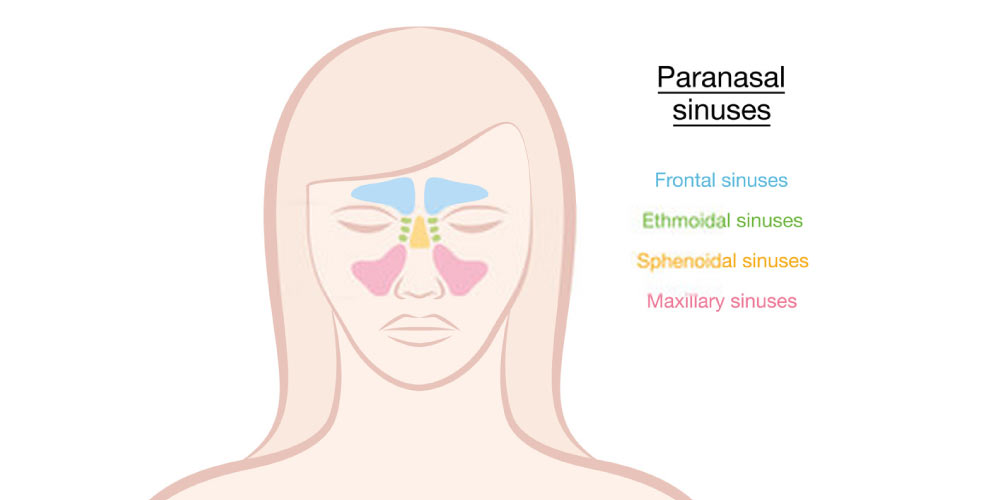 Know-About-Sinus-Pressure-Points-2