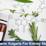 berberis vulgaris for kidney stones