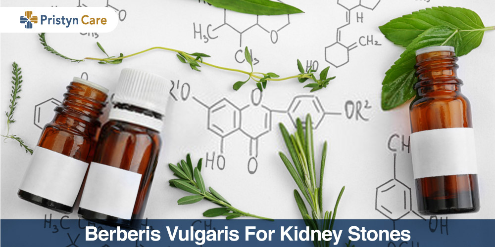 berberis vulgaris for kidney stones