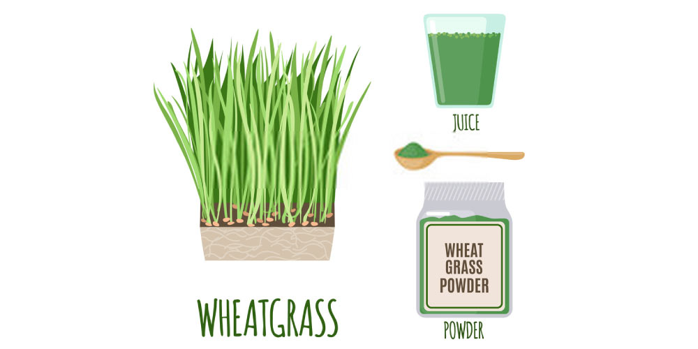 wheat grass for kidney stones