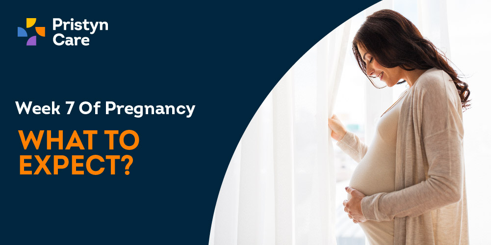 Know Your Pregnancy - First Trimester at best price in Bengaluru