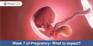 Ultrasound in Week 7 of Pregnancy