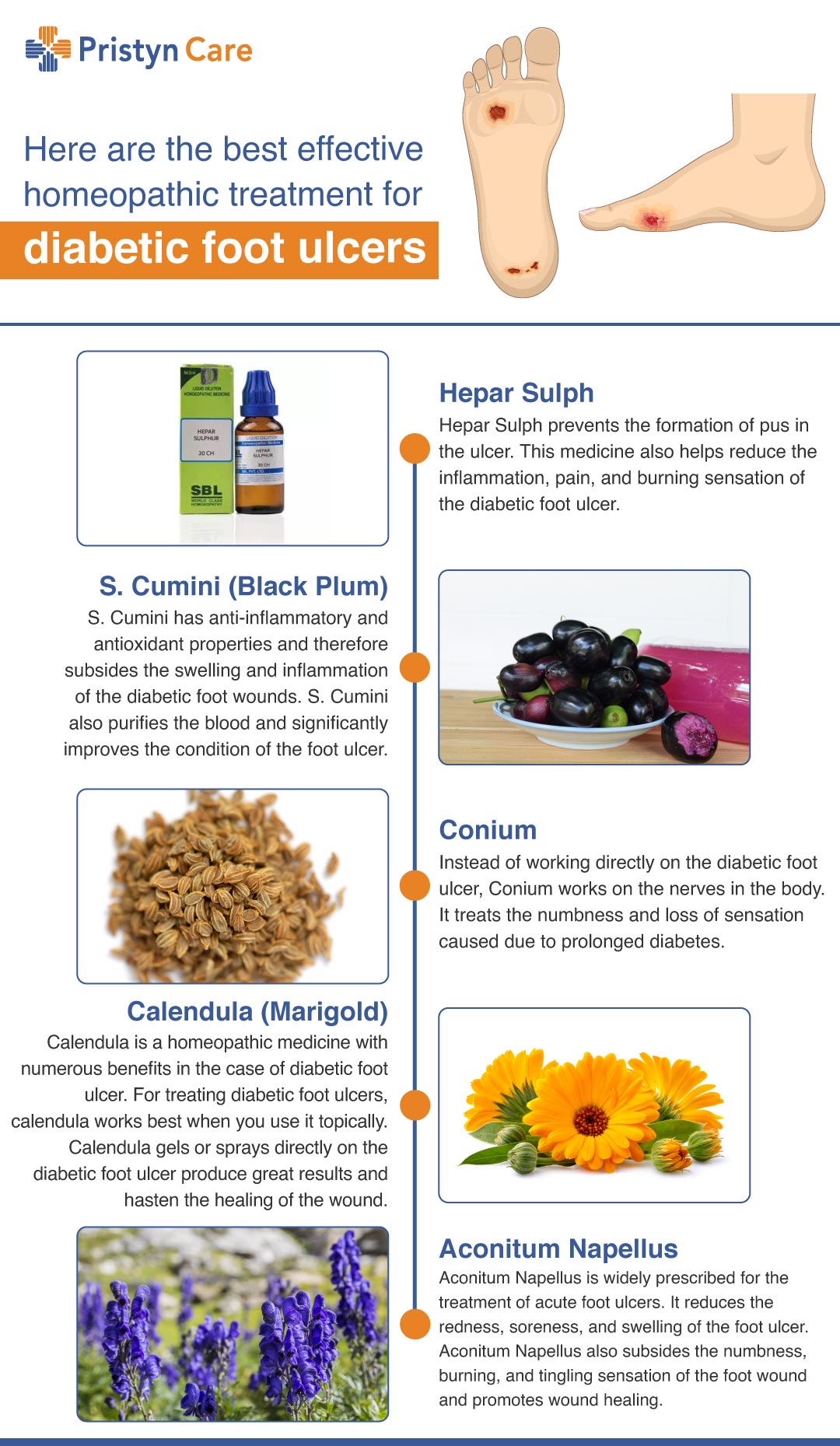 Natural Healing: Herbal Remedies to Treat Diabetic Foot Ulcers