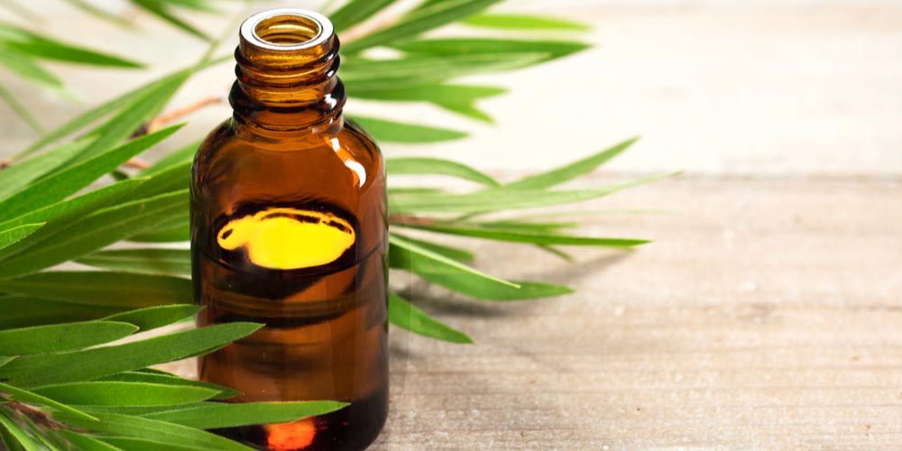 tea tree oil for pilonidal cyst