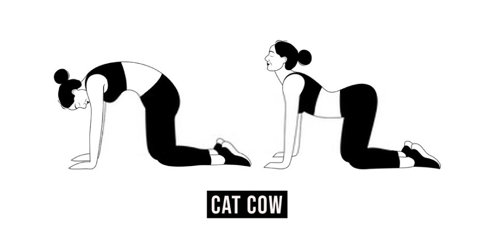 Cat and Cow Exercise