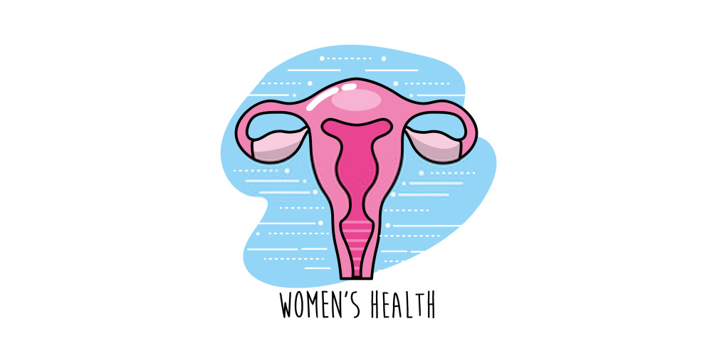 healthy uterus