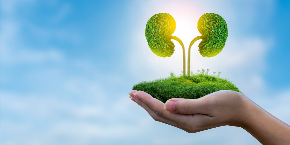 kidney stone surgery in delhi