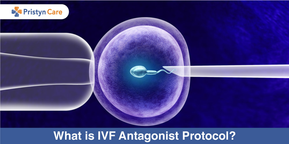 What Is IVF Antagonist Protocol Pristyn Care