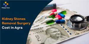 Kidney Stones Removal Surgery Cost in Agra