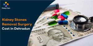 Kidney Stones Removal Surgery Cost in Dehradun
